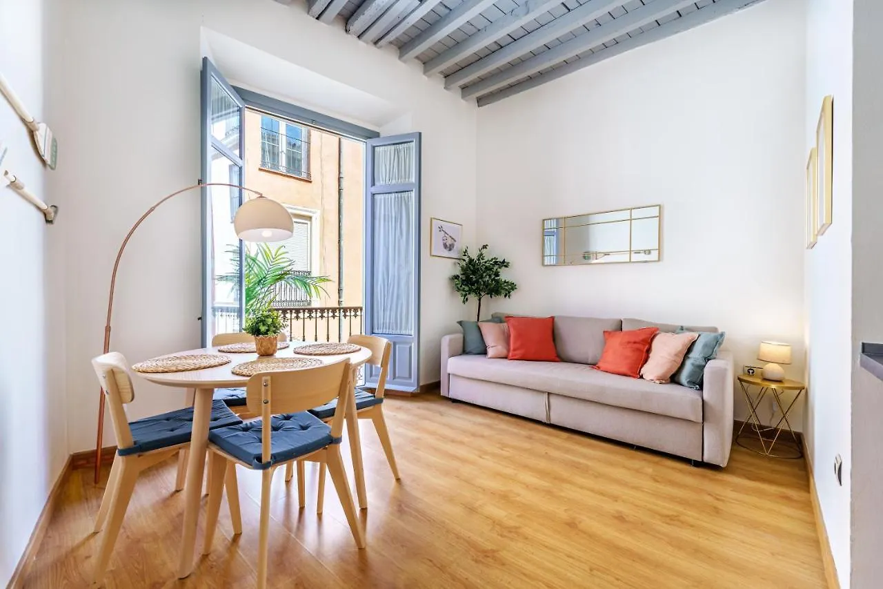 Enjoy Malaga - City Center Apartment